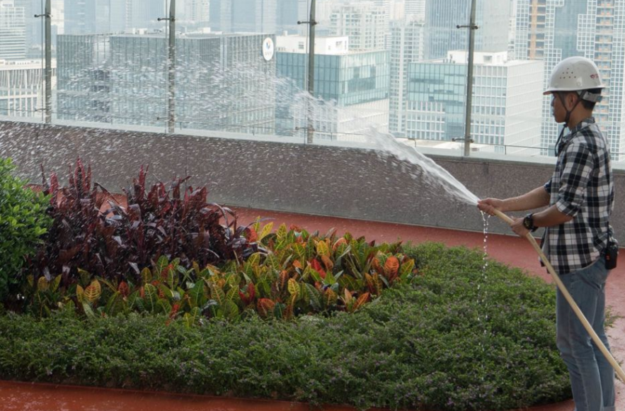 如何應(yīng)對氣候變化、保護(hù)海洋、土地及水源