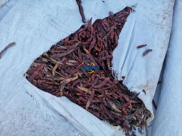 案例|某公司海關產品銷毀